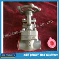 Bolt Bonnet 800 # A105 Sw / NPT Schieberventil